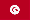 tn_ts_flag_20px_.gif